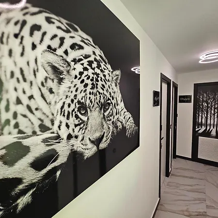 Pensión Luxury Nit I Dia Altea