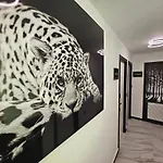 Гостевой дом Luxury Nit I Dia Альтеа